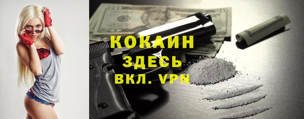 дживик Абаза