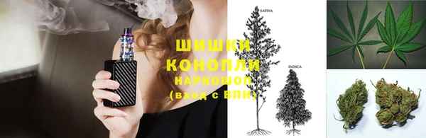 дживик Абаза