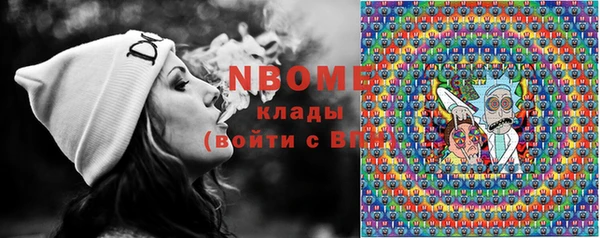 бошки Алексин