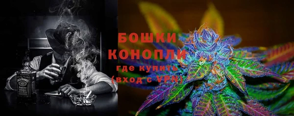 бошки Алексин