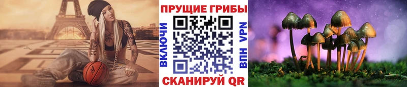 Галлюциногенные грибы MAGIC MUSHROOMS  Беломорск 